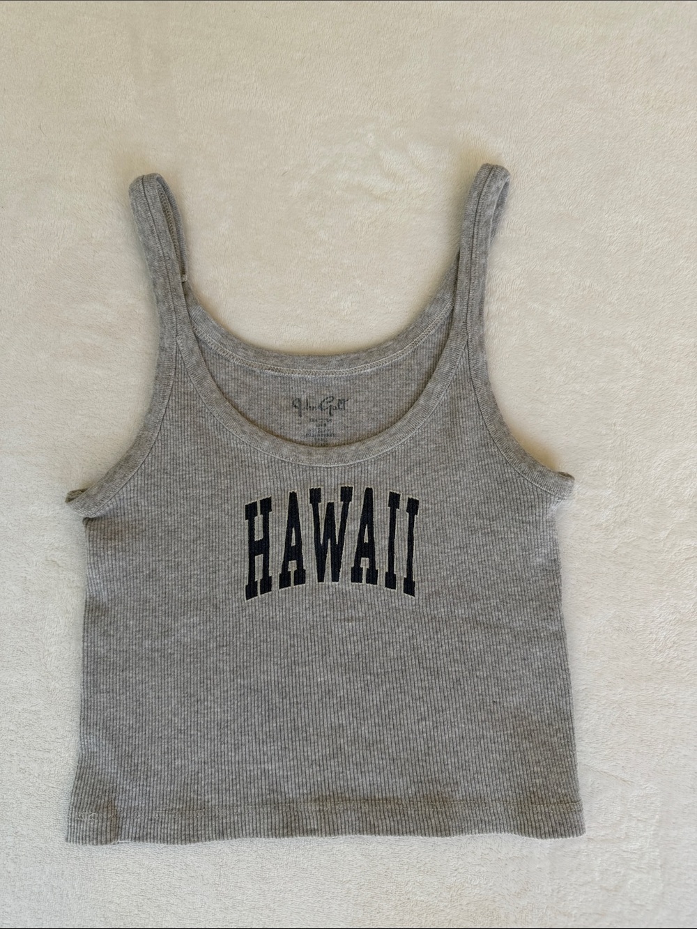 Brandy Melville John Galt Hawaii graphic cropped tank top